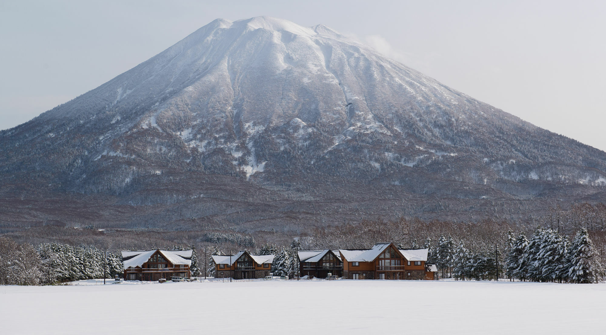 The Orchards Niseko Villa Kutchan Eksteriør billede